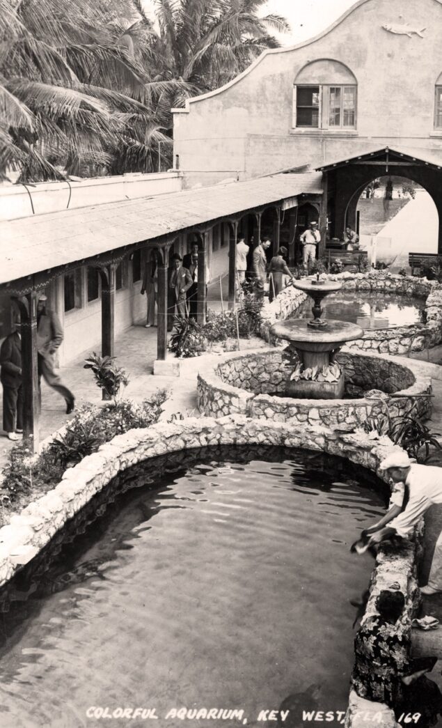 a black and white photo of a courtyard with a fountain