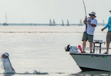 two men standing on a boat with a fish in the water