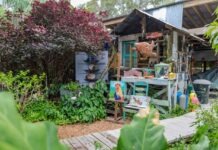 a garden with a shed in the background