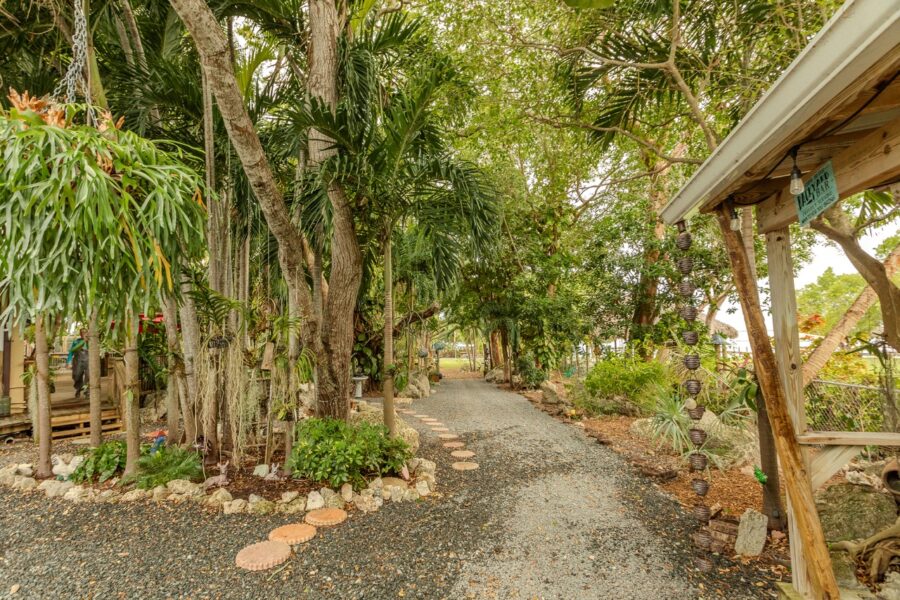 a path through a tropical garden with lots of trees