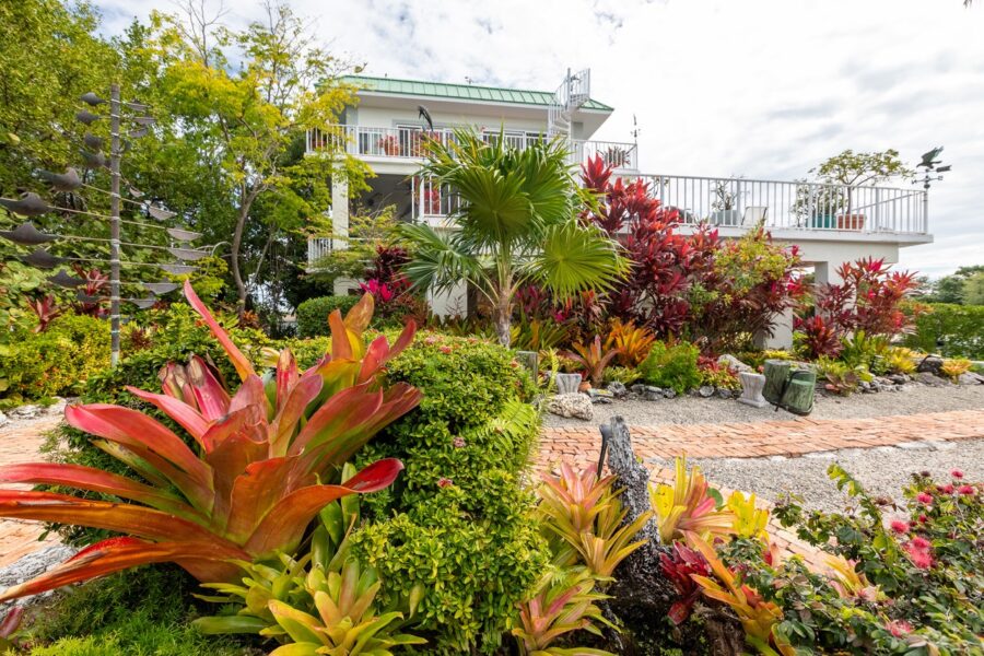 a house with lots of plants in front of it