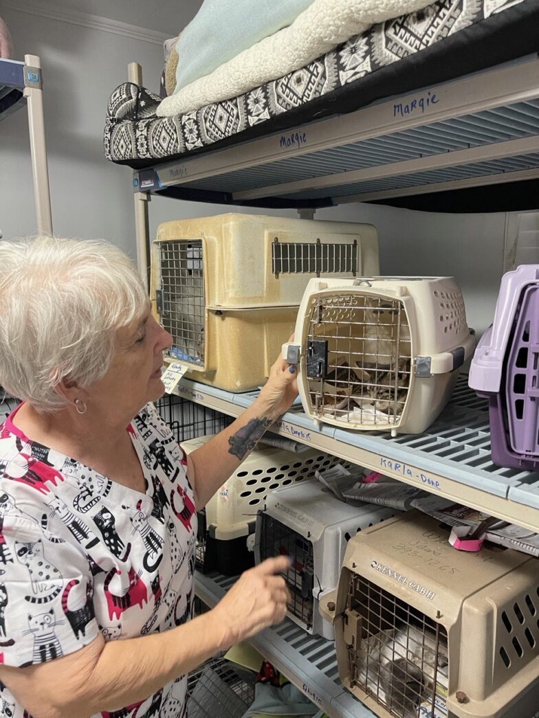 a woman is looking at a bird cage