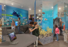 a group of people looking at a display of corals