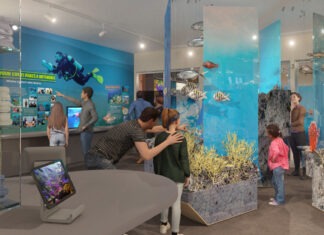 a group of people looking at a display of corals