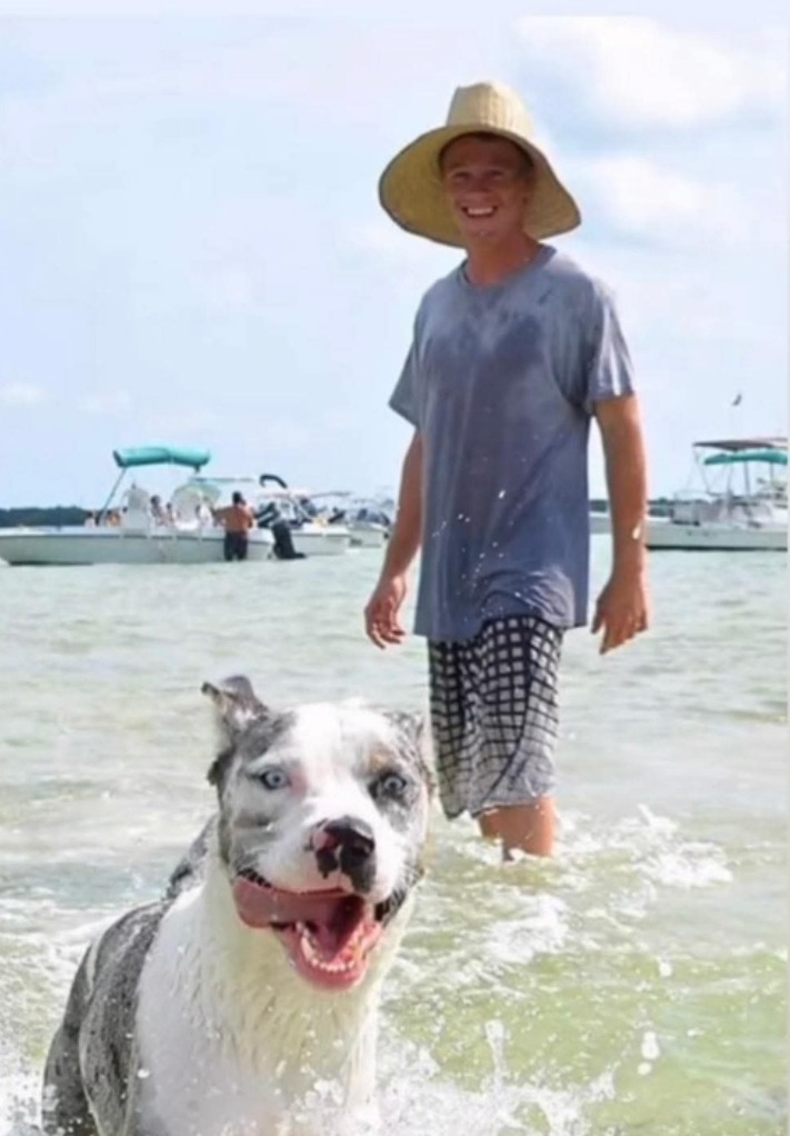 a boy and his dog are playing in the water