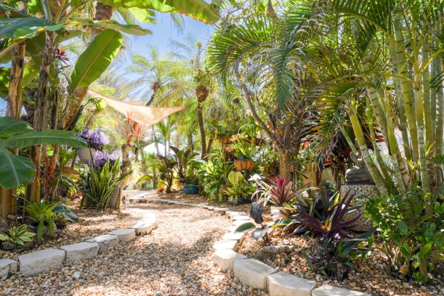 a garden filled with lots of plants and trees