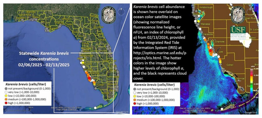 a map of the state of florida