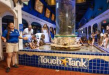 a group of people standing around a fountain