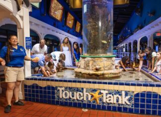 a group of people standing around a fountain