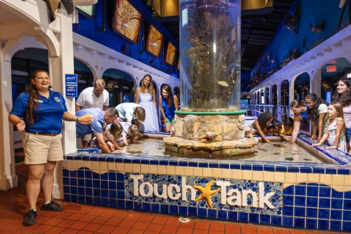 a group of people standing around a fountain