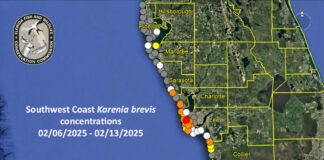 a map of the coast with a lot of yellow dots