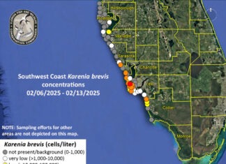 a map of the coast with a lot of yellow dots