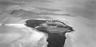 a black and white photo of an airplane wing