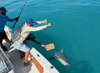 two men on a boat with a shark in the water