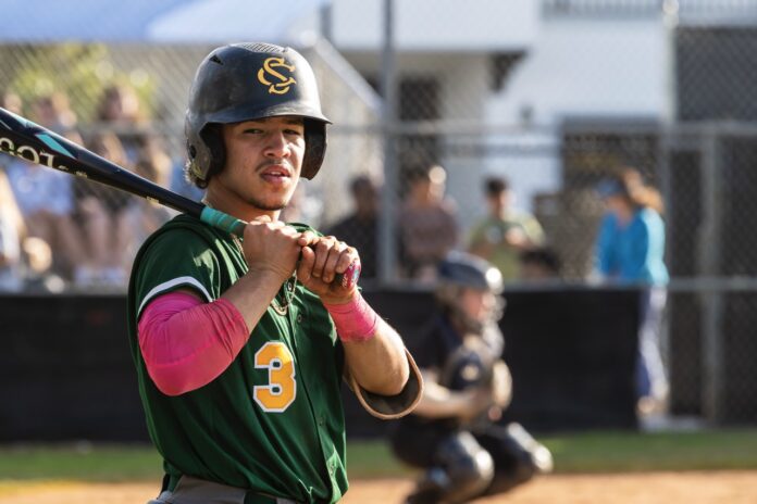 Maykol Bonito 6 Large a baseball player holding a bat on a field