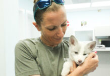 a woman holding a small white puppy in her arms