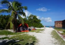 a tent pitched up on a beach next to a palm tree