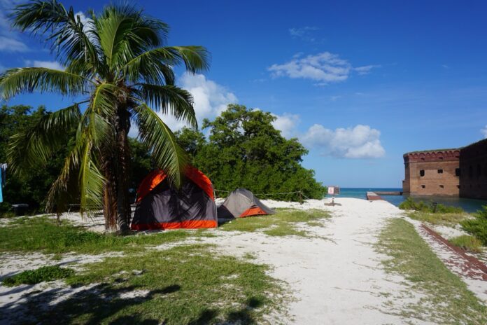 a tent pitched up on a beach next to a palm tree