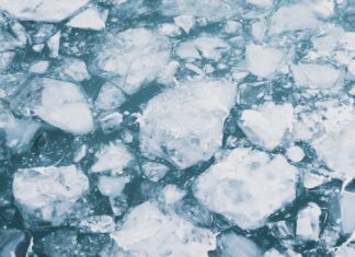 ice cubes on the surface of water