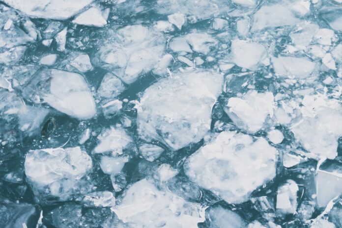 ice cubes on the surface of water