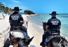 two police officers riding horses on a beach