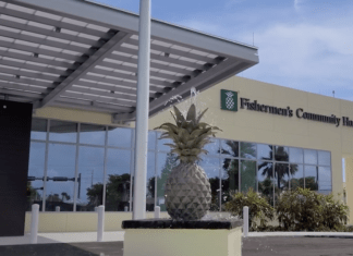 a building with a large pineapple plant in front of it
