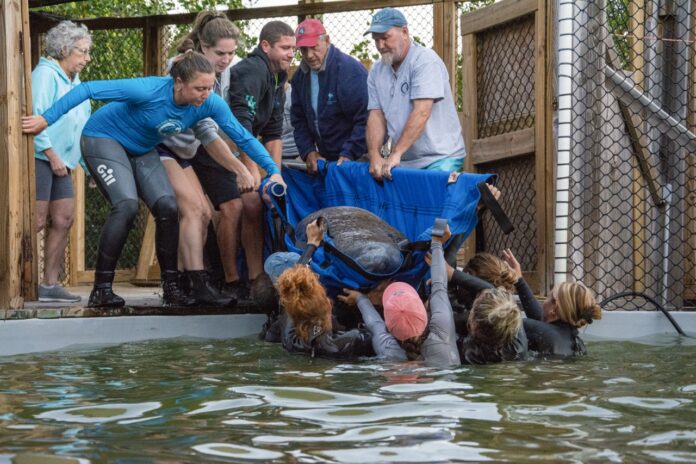 truck load Large a group of people standing around a pool of water