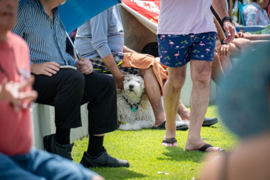 a group of people sitting on a bench under umbrellas