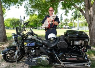 a man holding a dog standing next to a motorcycle