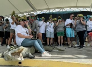 a group of people standing around a statue of a crocodile