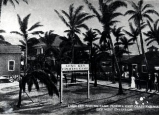 a black and white photo of a palm tree lined street