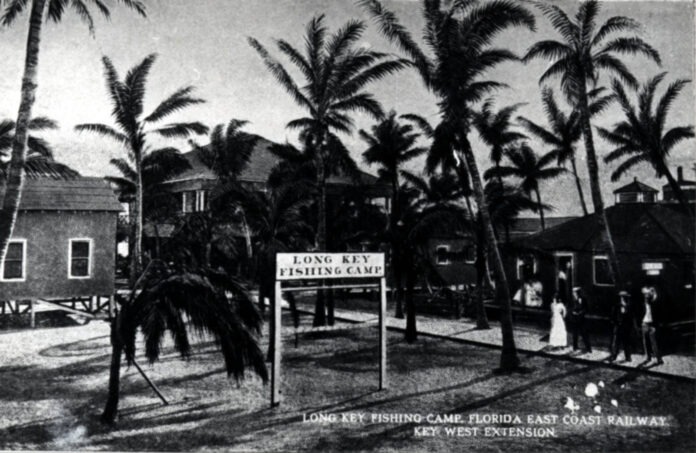 Long Key Fishing Camp a black and white photo of a palm tree lined street
