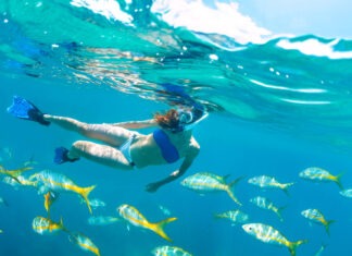 a woman swimming in the ocean surrounded by fish
