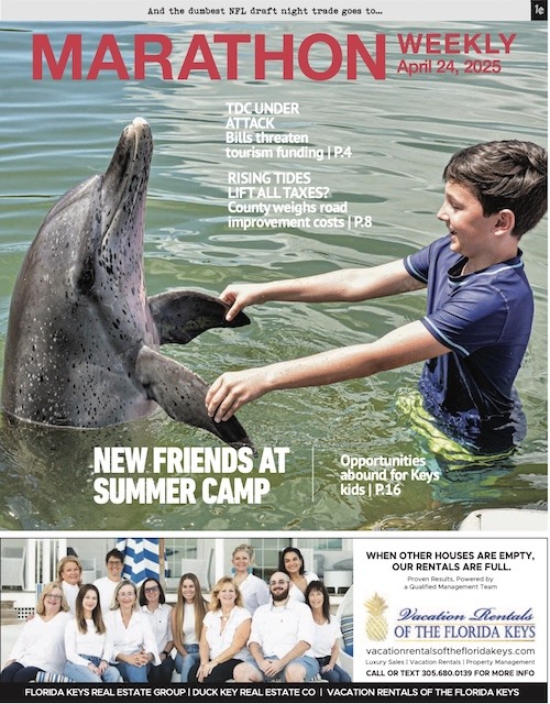 a magazine cover with a boy petting a dolphin