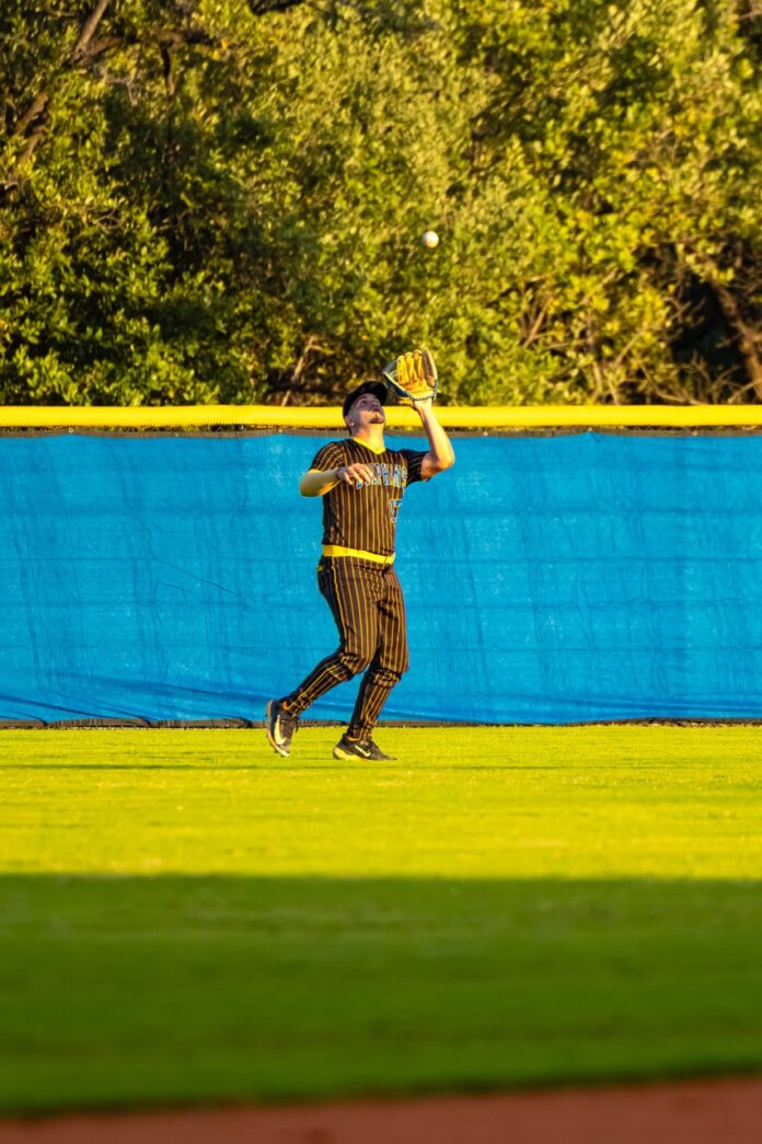 a baseball player catching a ball on a field