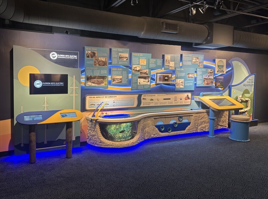 a large room with a blue carpet and a wall with pictures on it