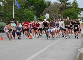 a group of people that are running in a race