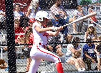 a baseball player swinging a bat on top of a field