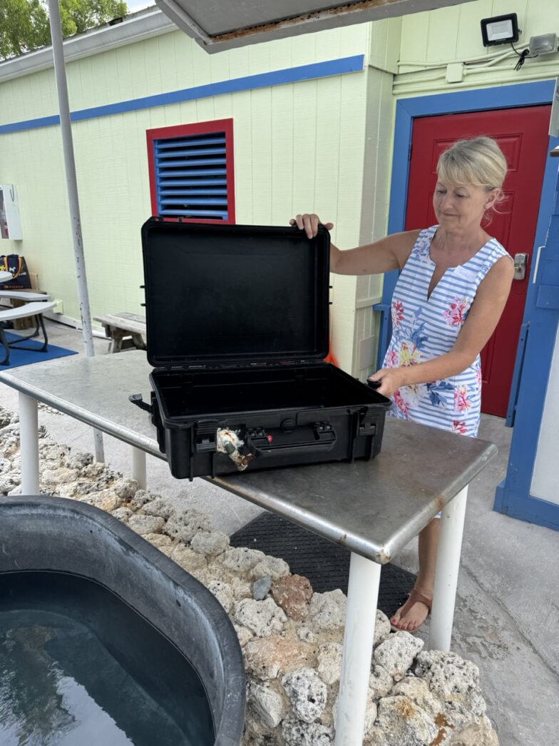 a woman standing next to a table with a grill on it