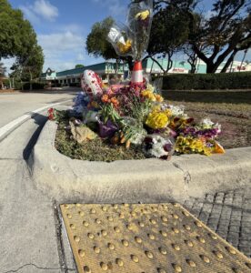 a bunch of flowers that are on the side of a road