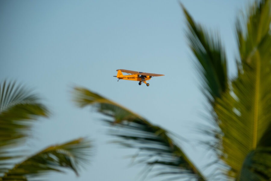 a small plane flying over a palm tree