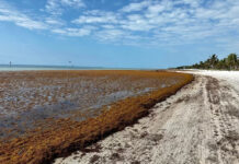 a dirt road that is next to the ocean