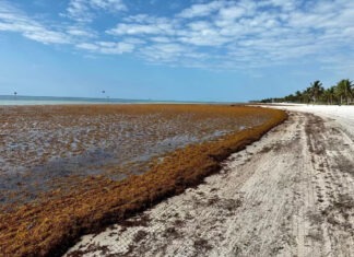 a dirt road that is next to the ocean