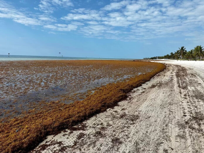a dirt road that is next to the ocean