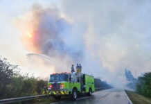 a fire truck driving down a road next to a forest