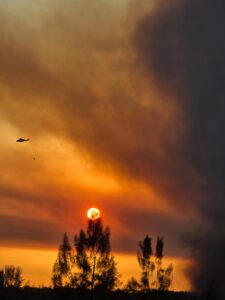 a plane flying in the sky at sunset