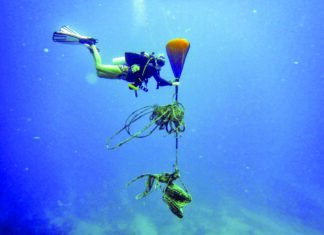 a person diving in the ocean with a parachute