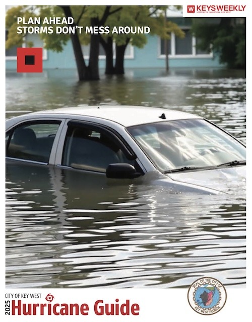 a car that is sitting in some water