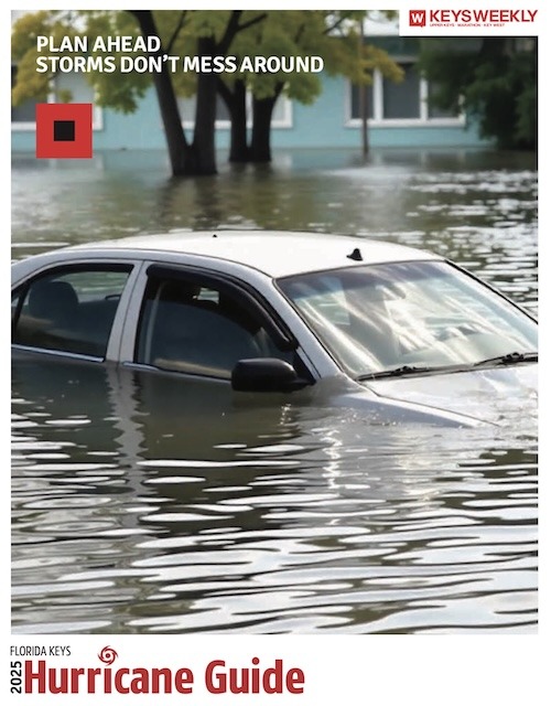 a car that is sitting in some water