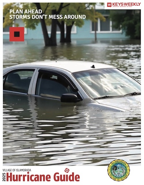 a car that is sitting in some water